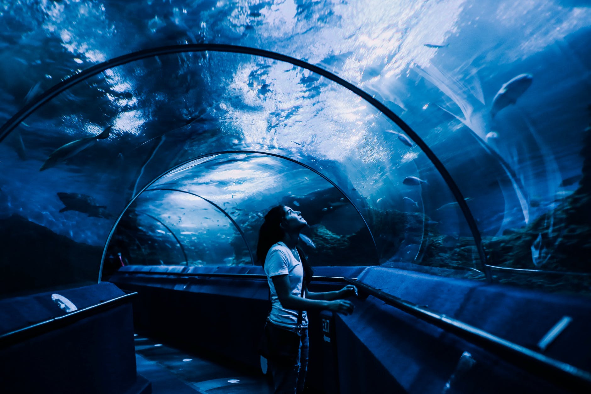 woman looking at fishes in aquarium shopping in istanbul