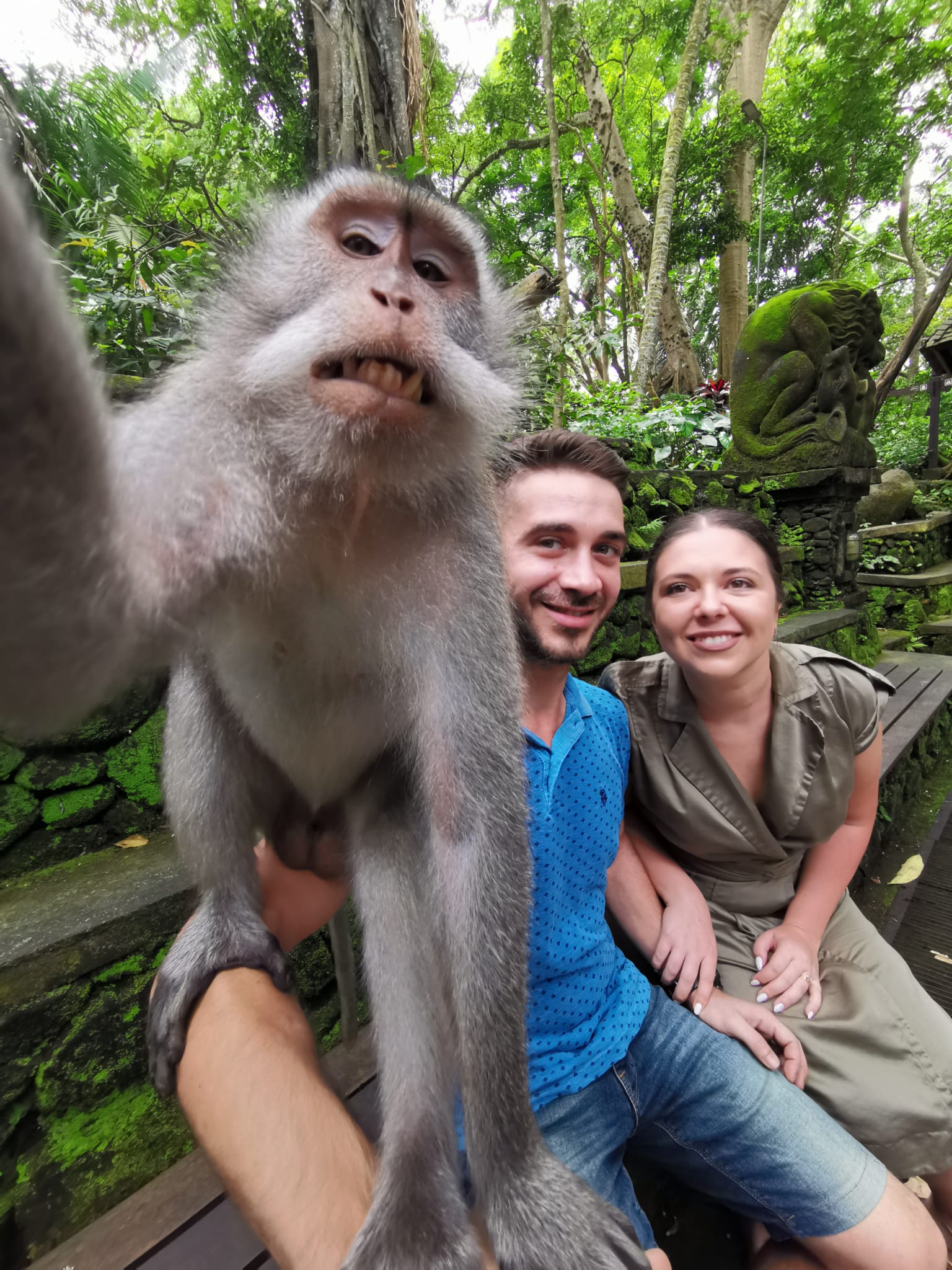 monkey forest bali ubud