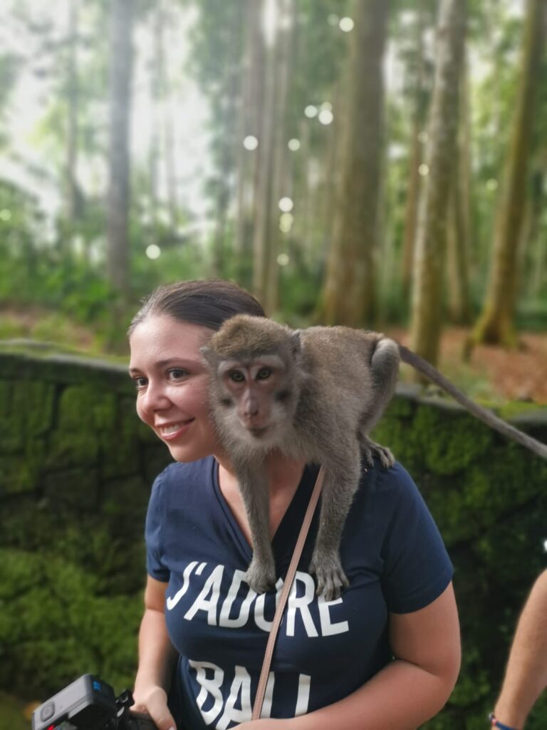 monkey forest bali sangeh